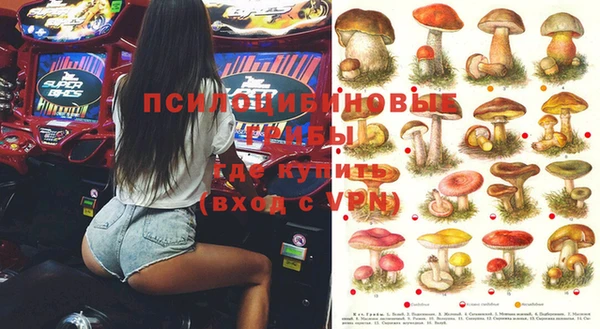гидра Зеленокумск