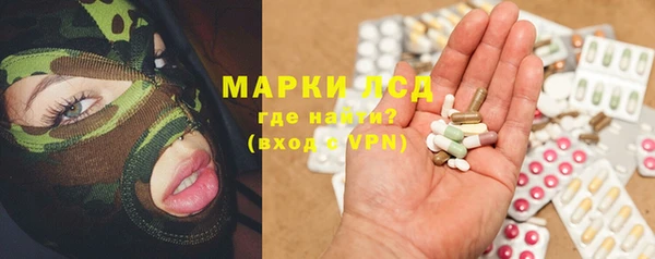 гидра Зеленокумск