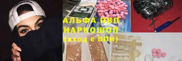 гидра Зеленокумск