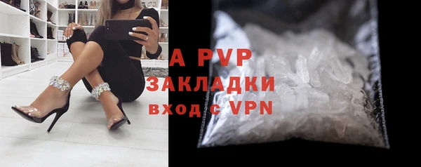 гидра Зеленокумск