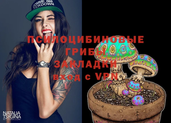 2c-b Зеленодольск