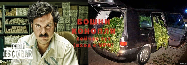 гидра Зеленокумск