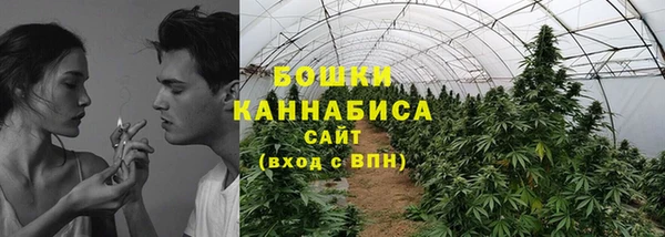 2c-b Зеленодольск