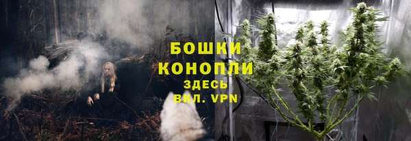 кокс Инсар