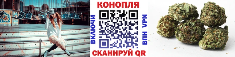 Бошки марихуана SATIVA & INDICA  Купить где  Асино 